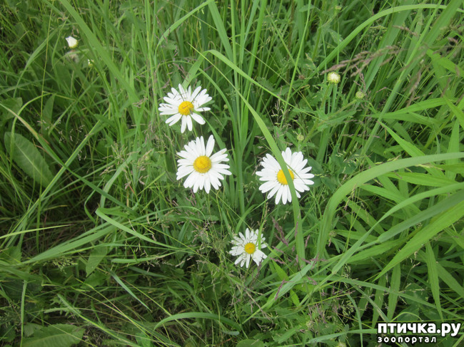 ���� 5: �� ���� ��, � �������