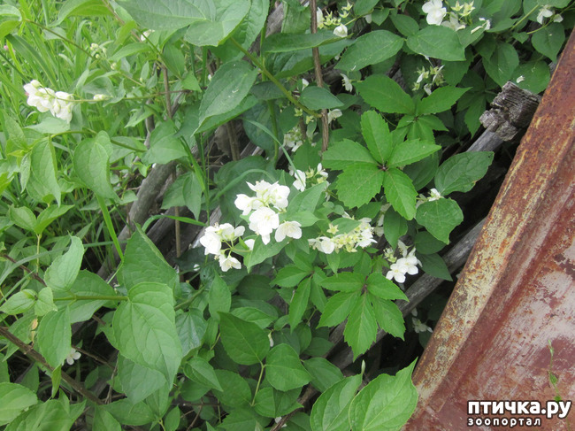 ���� 6: �� ���� ��, � �������