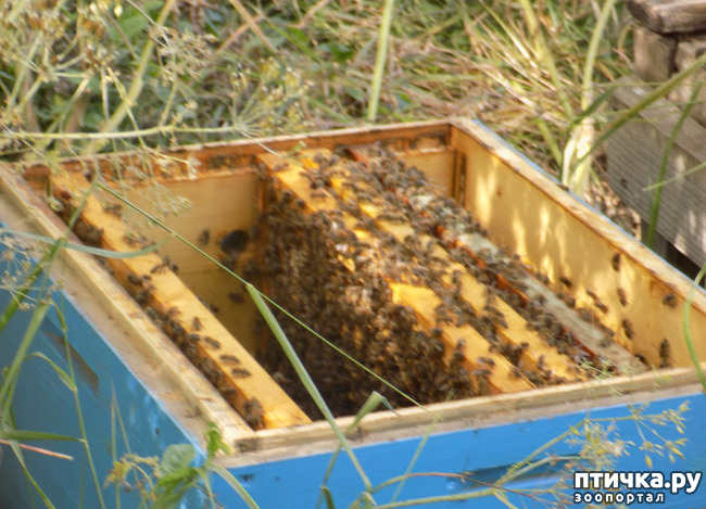 ���� 8: ������ ������ ���������.