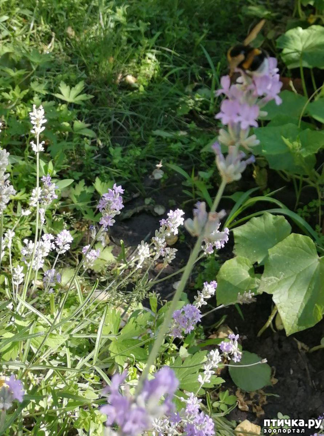 ���� 10: ��� ����������. �����, �������, �������, �������, ����������, �������� � ����.