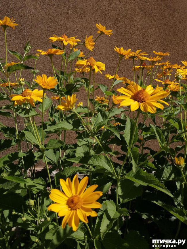 ���� 12: ��� ����������. �����, �������, �������, �������, ����������, �������� � ����.