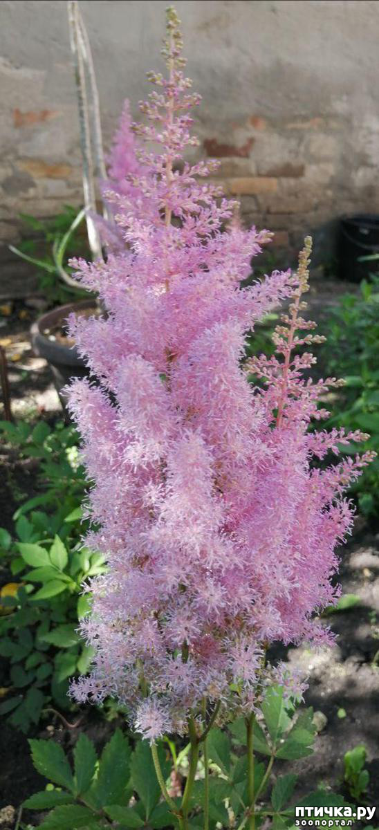 ���� 13: ��� ����������. �����, �������, �������, �������, ����������, �������� � ����.