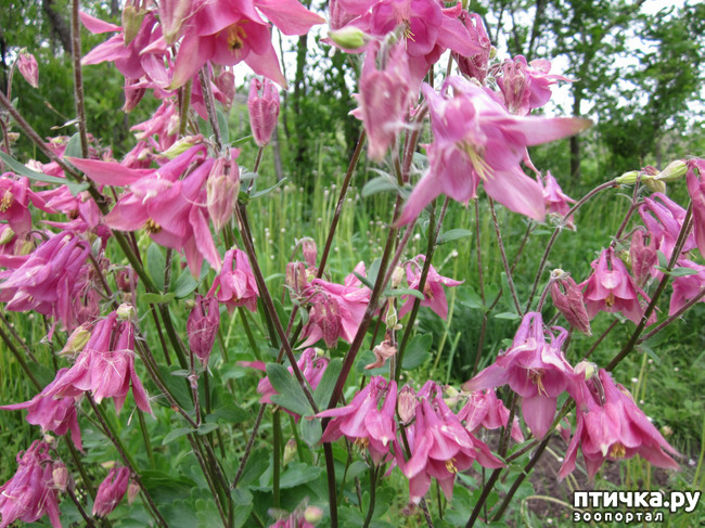 ���� 7: �� ���� ��, � �������