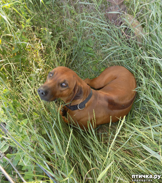 ���� 10: ������ ������ ���������.