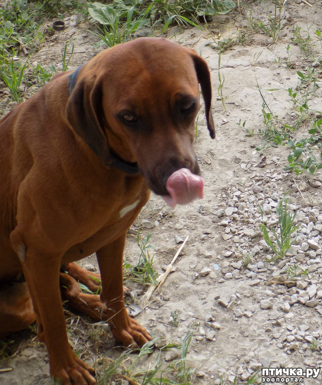 ���� 11: ������ ������ ���������.