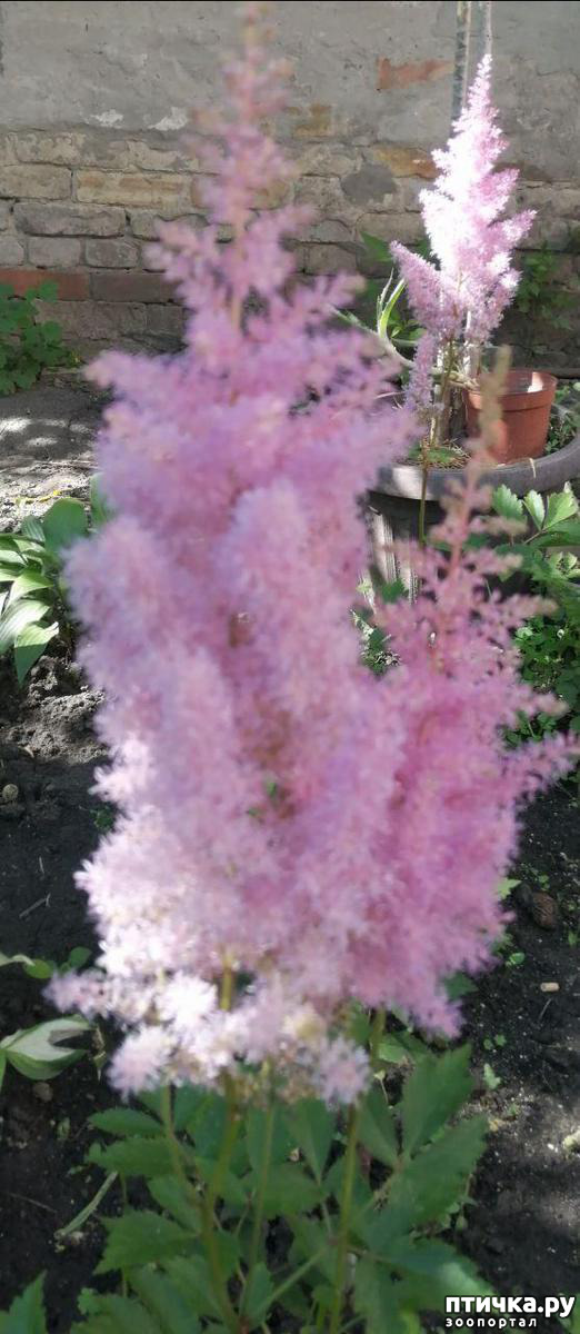 ���� 14: ��� ����������. �����, �������, �������, �������, ����������, �������� � ����.