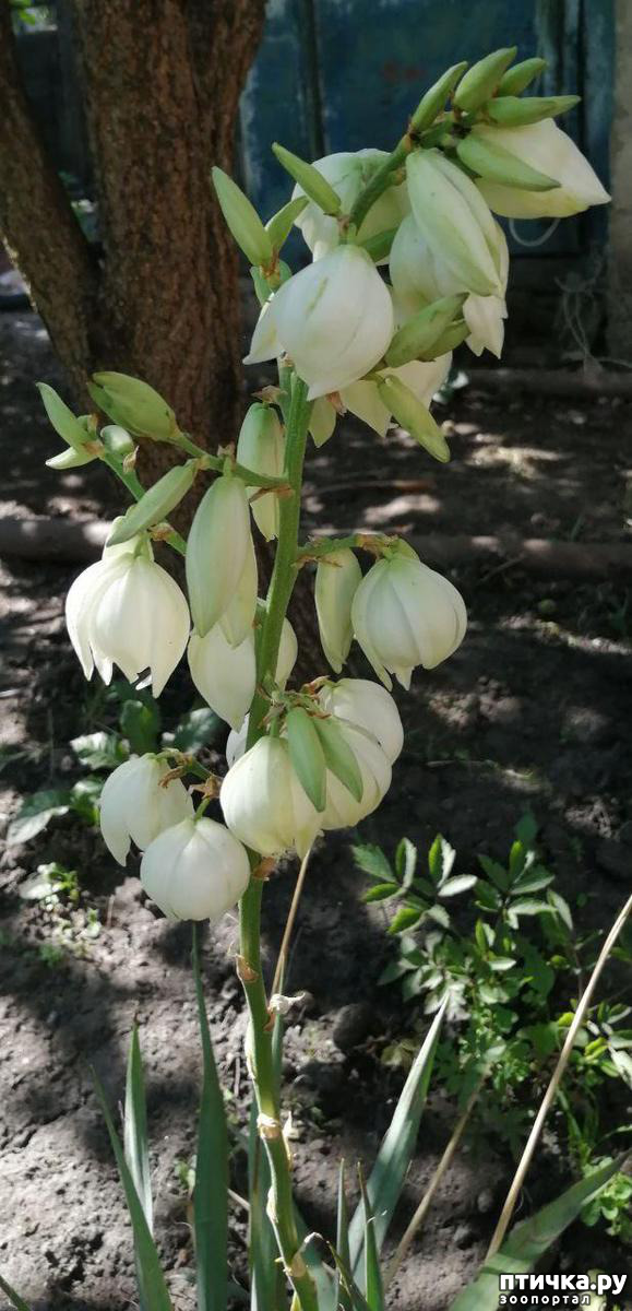 ���� 15: ��� ����������. �����, �������, �������, �������, ����������, �������� � ����.