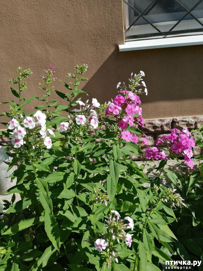 ���� 16: ��� ����������. �����, �������, �������, �������, ����������, �������� � ����.