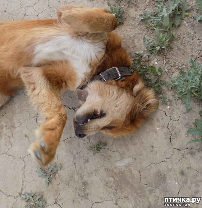 ���� 13: ������ ������ ���������.