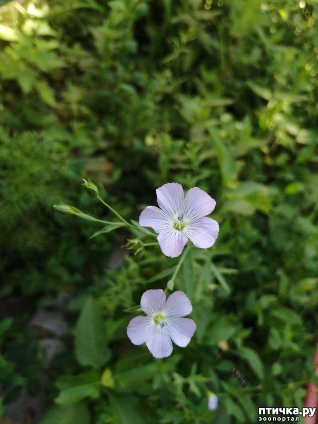 ���� 17: ��� ����������. �����, �������, �������, �������, ����������, �������� � ����.