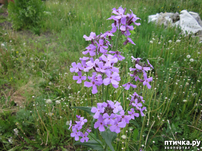 ���� 8: �� ���� ��, � �������