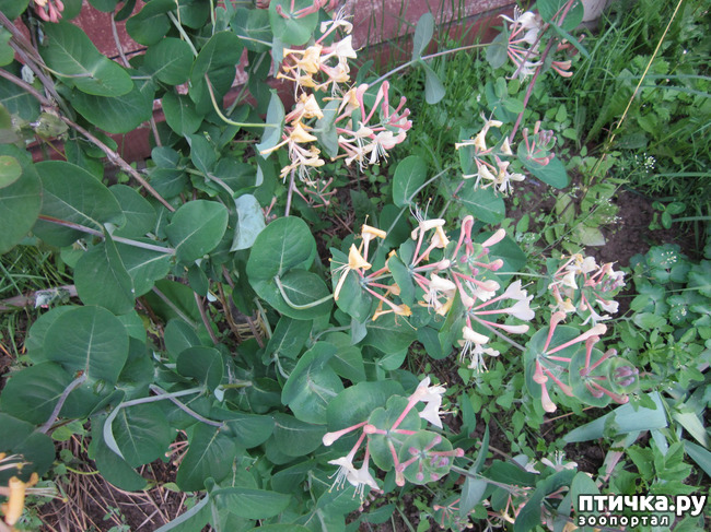 ���� 9: �� ���� ��, � �������