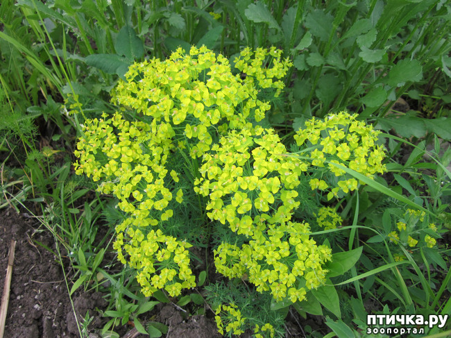 ���� 10: �� ���� ��, � �������