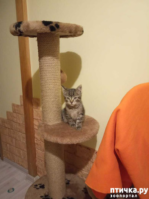 ����: ���������� - ��� ����� � ��������� �����! � ��� �������