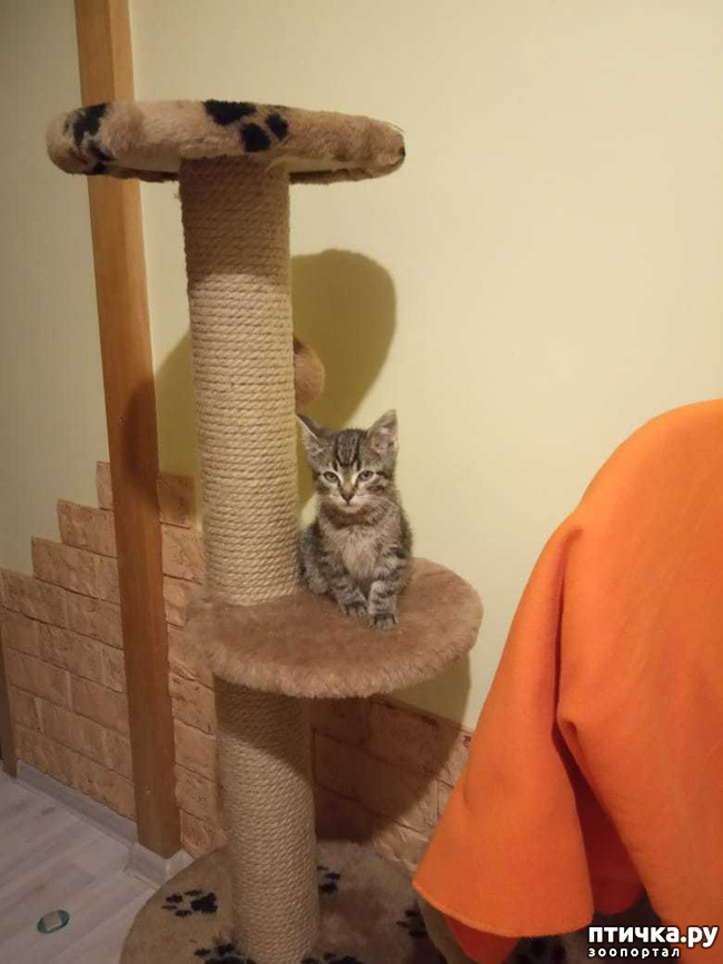 ���� 1: ���������� - ��� ����� � ��������� �����! � ��� �������