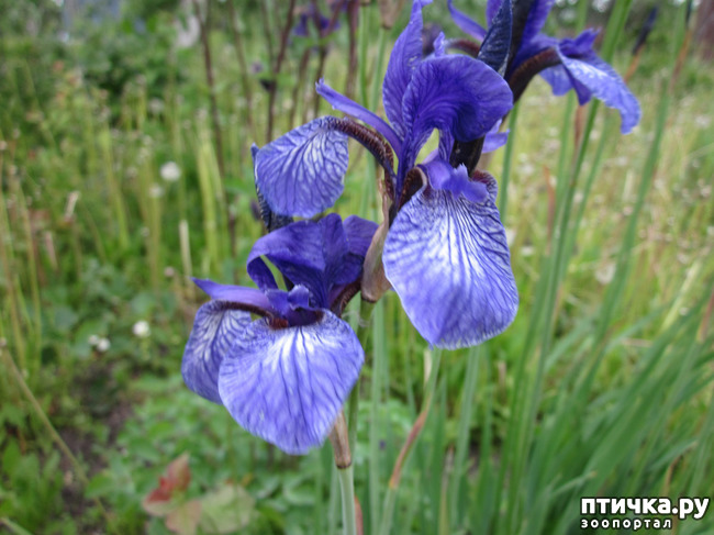 ���� 12: �� ���� ��, � �������