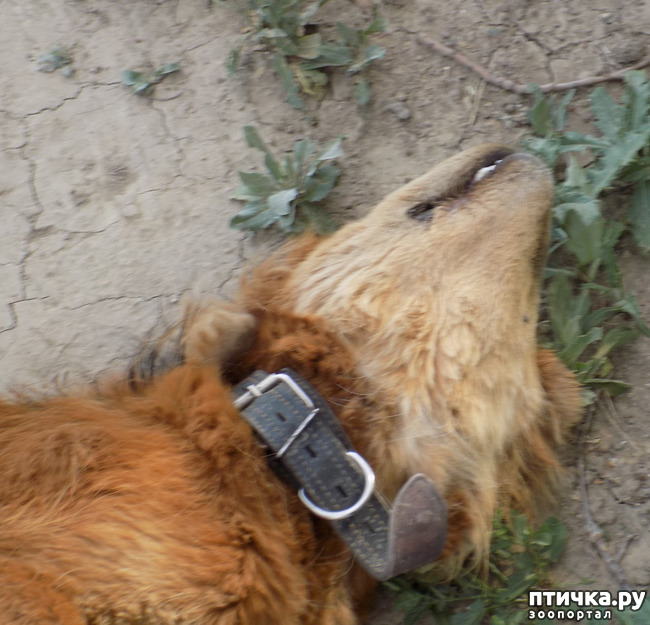 ���� 14: ������ ������ ���������.