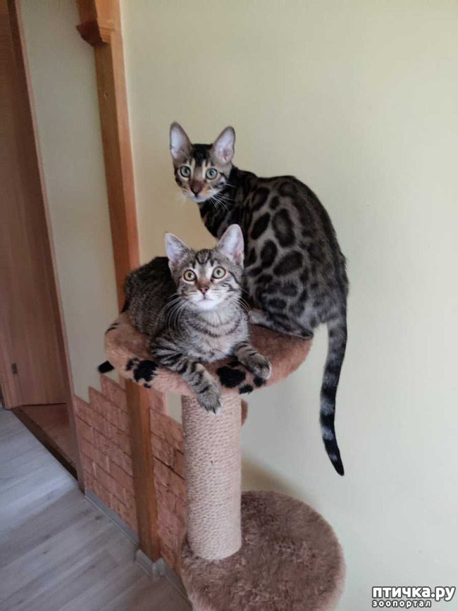 ���� 2: ���������� - ��� ����� � ��������� �����! � ��� �������