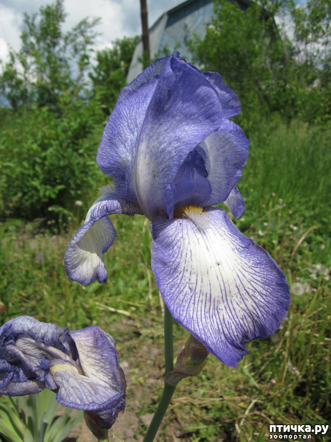 ���� 13: �� ���� ��, � �������