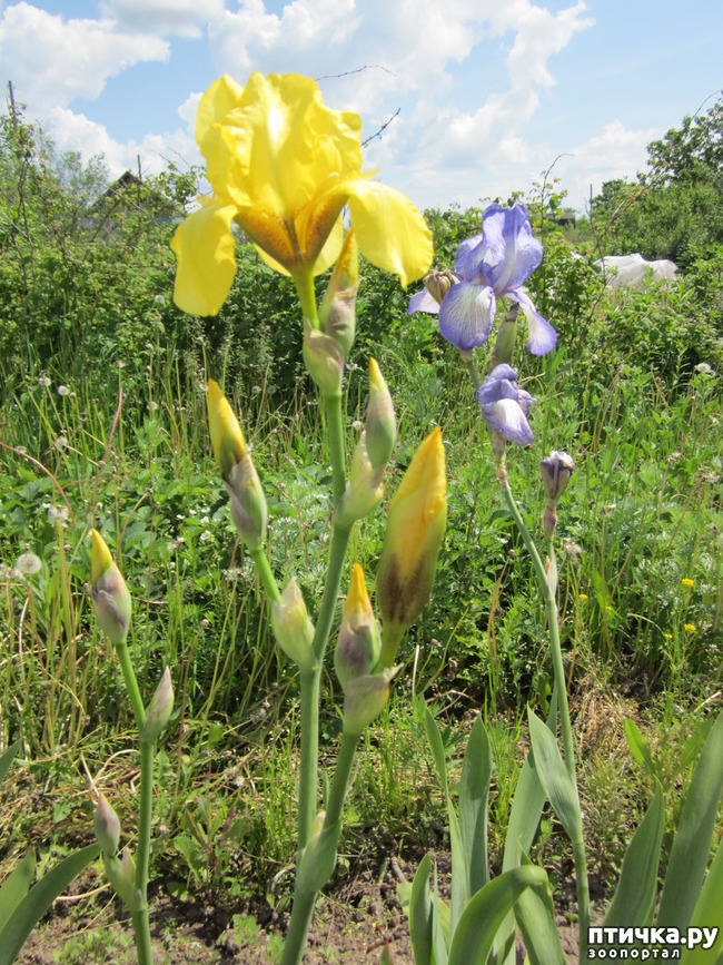 ���� 14: �� ���� ��, � �������