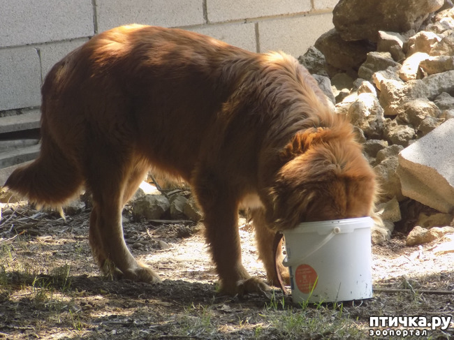 ���� 17: ������ ������ ���������.