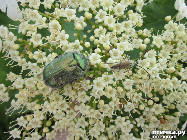 ���� 16: �� ���� ��, � �������