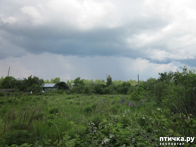 ���� 17: �� ���� ��, � �������