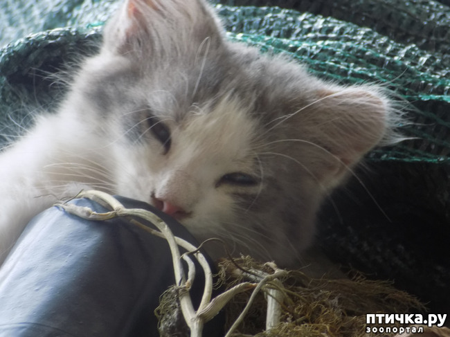 ���� 22: ������ ������ ���������.