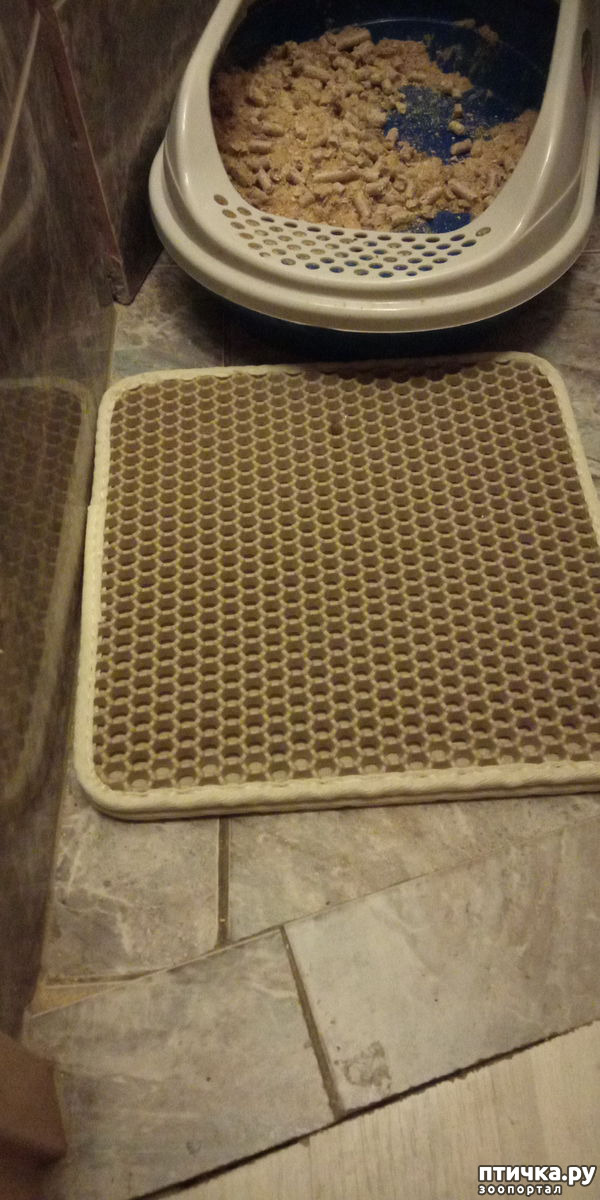 ���� 3: ���������� - ��� ����� � ��������� �����! � ��� �������