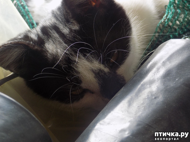 ���� 23: ������ ������ ���������.