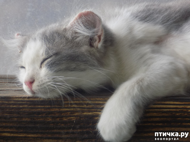 ���� 24: ������ ������ ���������.