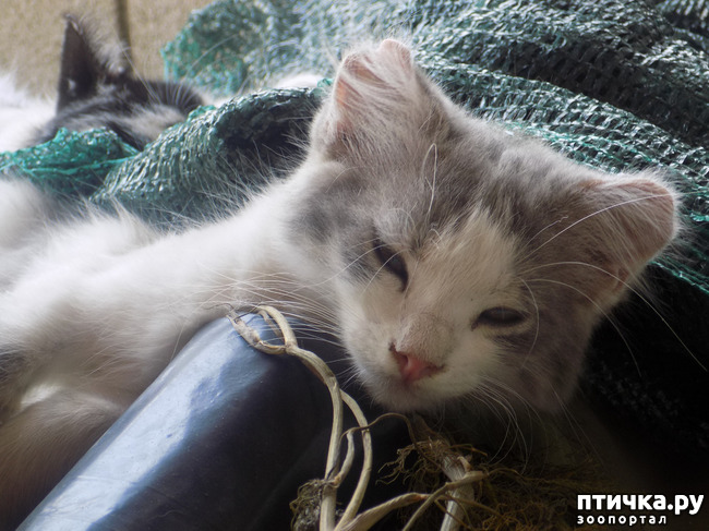 ���� 25: ������ ������ ���������.