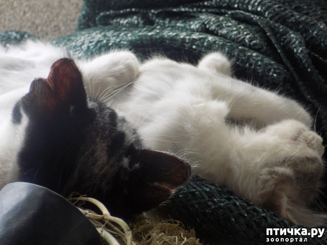 ���� 26: ������ ������ ���������.