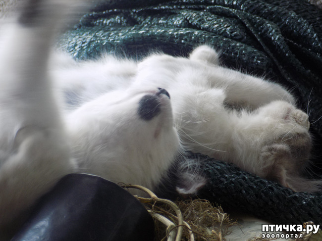 ���� 27: ������ ������ ���������.