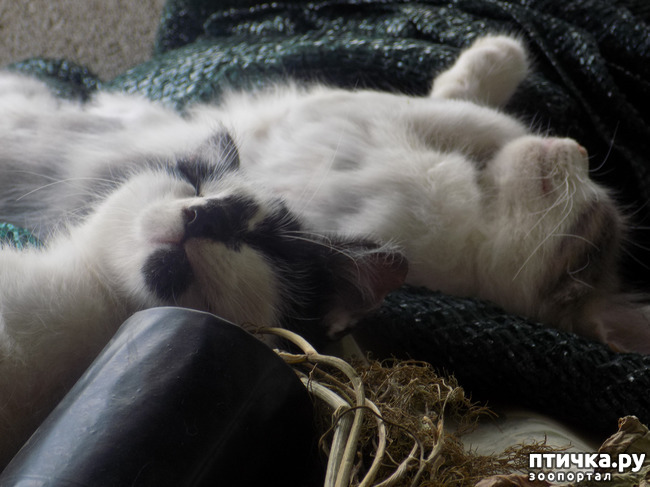 ���� 28: ������ ������ ���������.