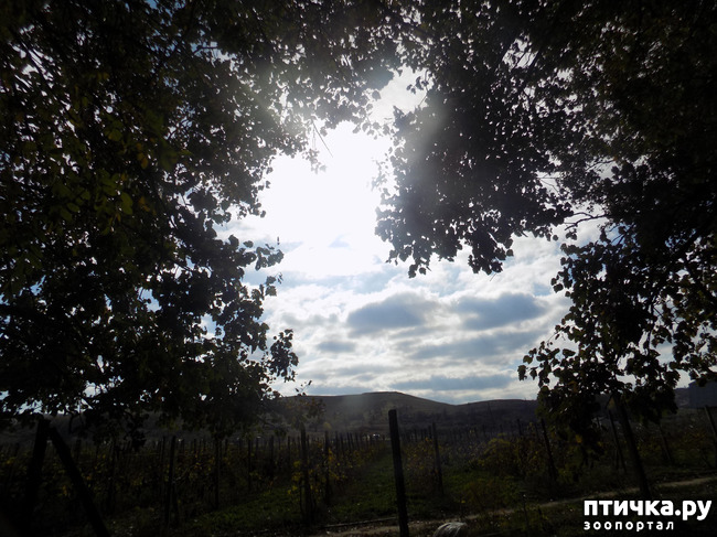 ���� 30: ������ ������ ���������.