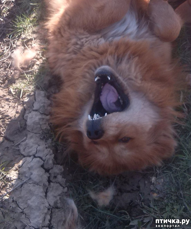 ���� 15: ������ ������ ���������.