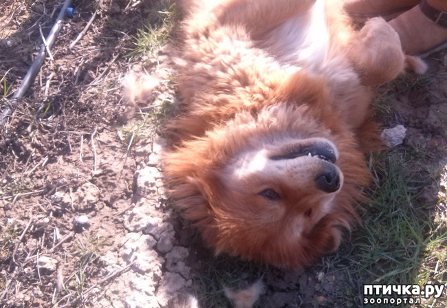 ���� 16: ������ ������ ���������.