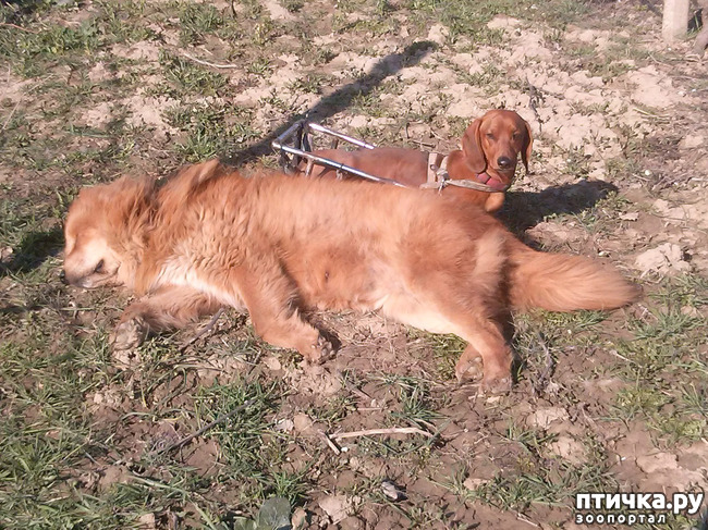 ���� 18: ������ ������ ���������.