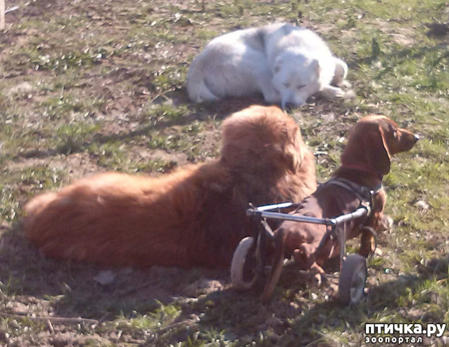 ���� 19: ������ ������ ���������.