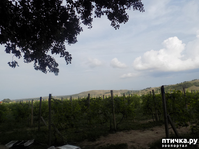 ���� 31: ������ ������ ���������.