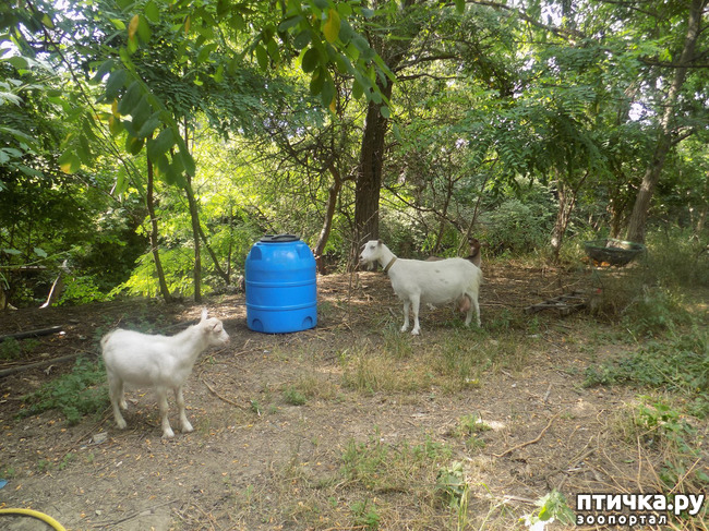 ���� 32: ������ ������ ���������.