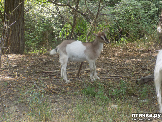 ���� 33: ������ ������ ���������.