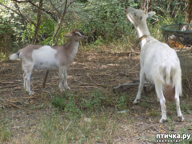 ���� 34: ������ ������ ���������.