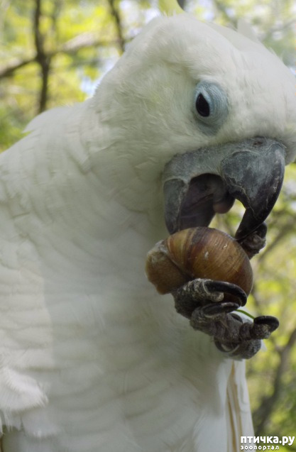 ���� 35: ������ ������ ���������.