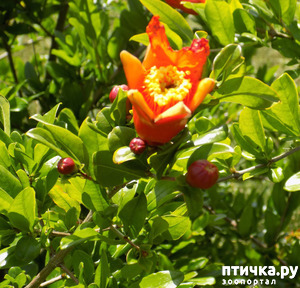 ����: ������ ������ ���������.