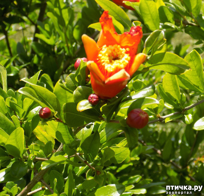 ���� 1: ������ ������ ���������.