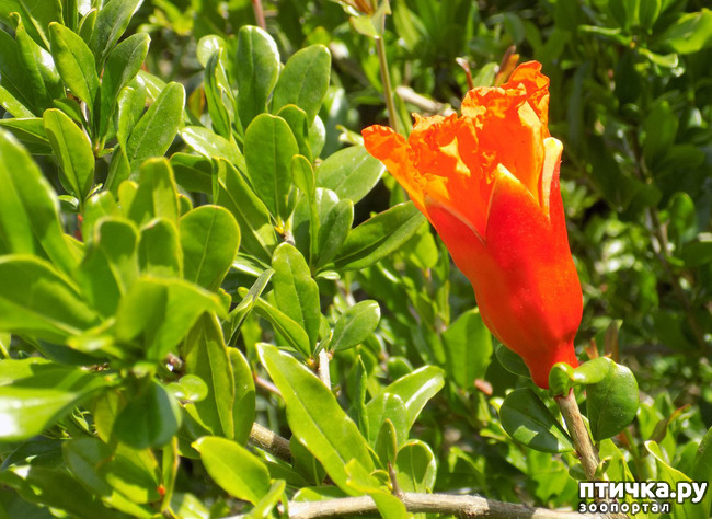 ���� 2: ������ ������ ���������.