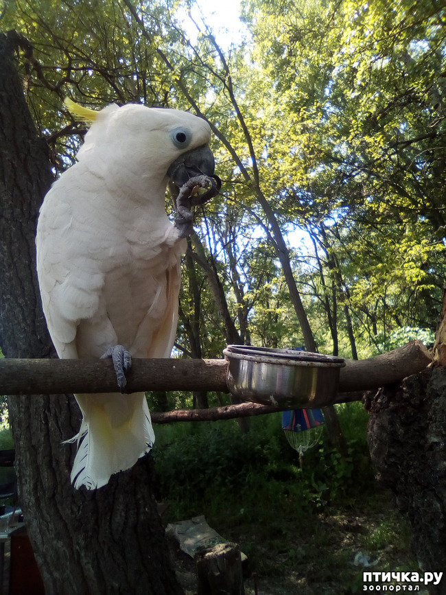 ���� 36: ������ ������ ���������.