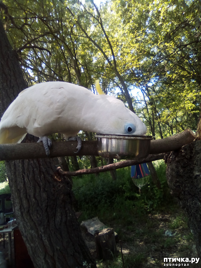 ���� 37: ������ ������ ���������.